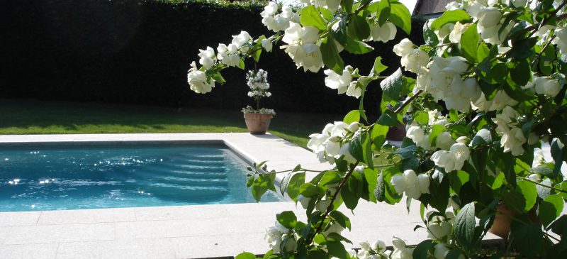 Piscine naturelle, écologique ou à filtration biologique : que faut-il vraiment savoir ?