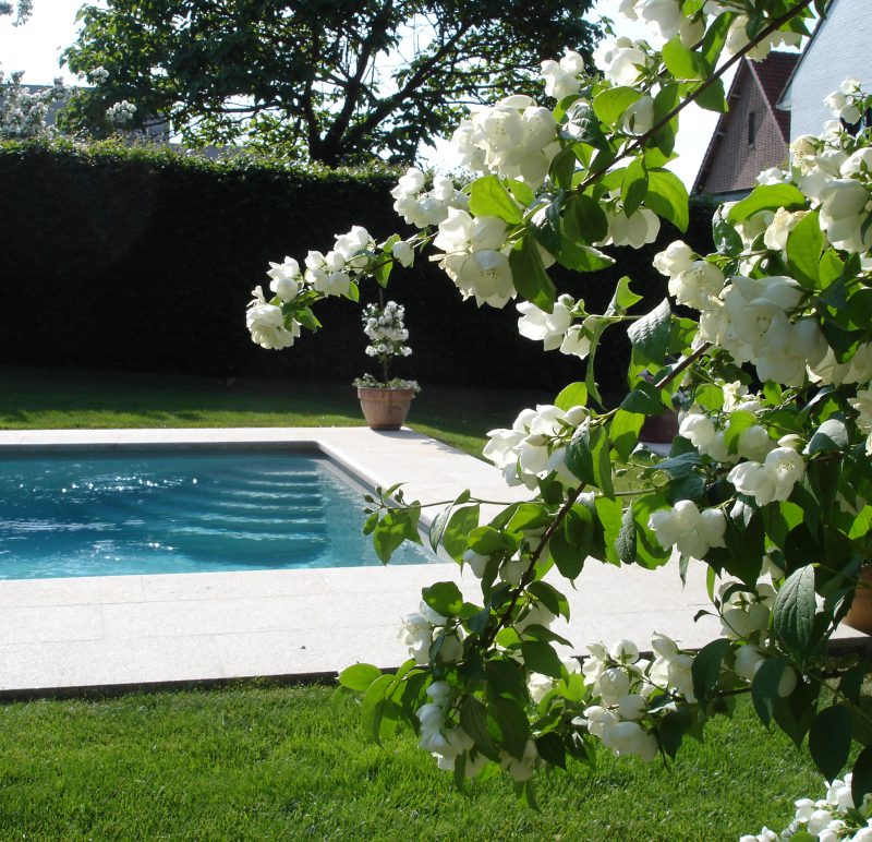 Piscine naturelle, écologique ou à filtration biologique : que faut-il vraiment savoir ?