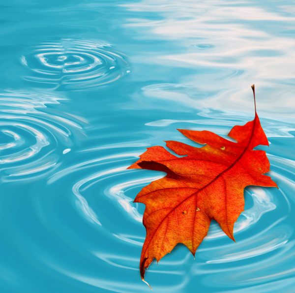 Zwembad winterklaar maken: De complete gids voor de herfst