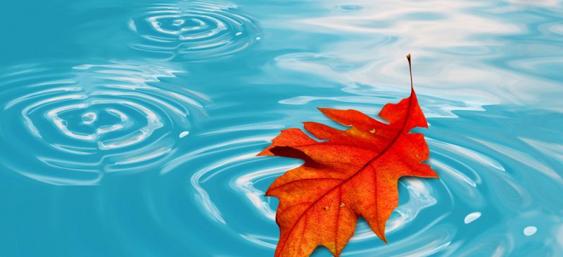 Zwembad winterklaar maken: De complete gids voor de herfst