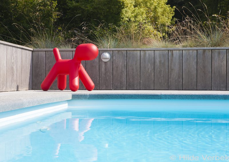 Hoe kies ik het juiste zwembad? De Grote Begrippengids